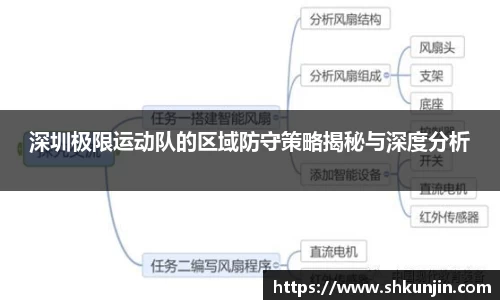 深圳极限运动队的区域防守策略揭秘与深度分析